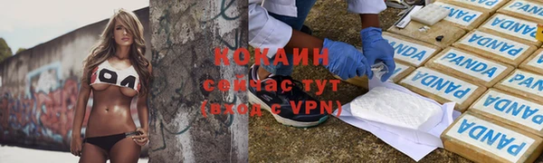 соль ск Богданович
