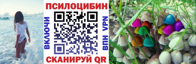 Псилоцибиновые грибы Psilocybe  Невель 