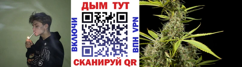 купить закладку  Невель  МАРИХУАНА SATIVA & INDICA 
